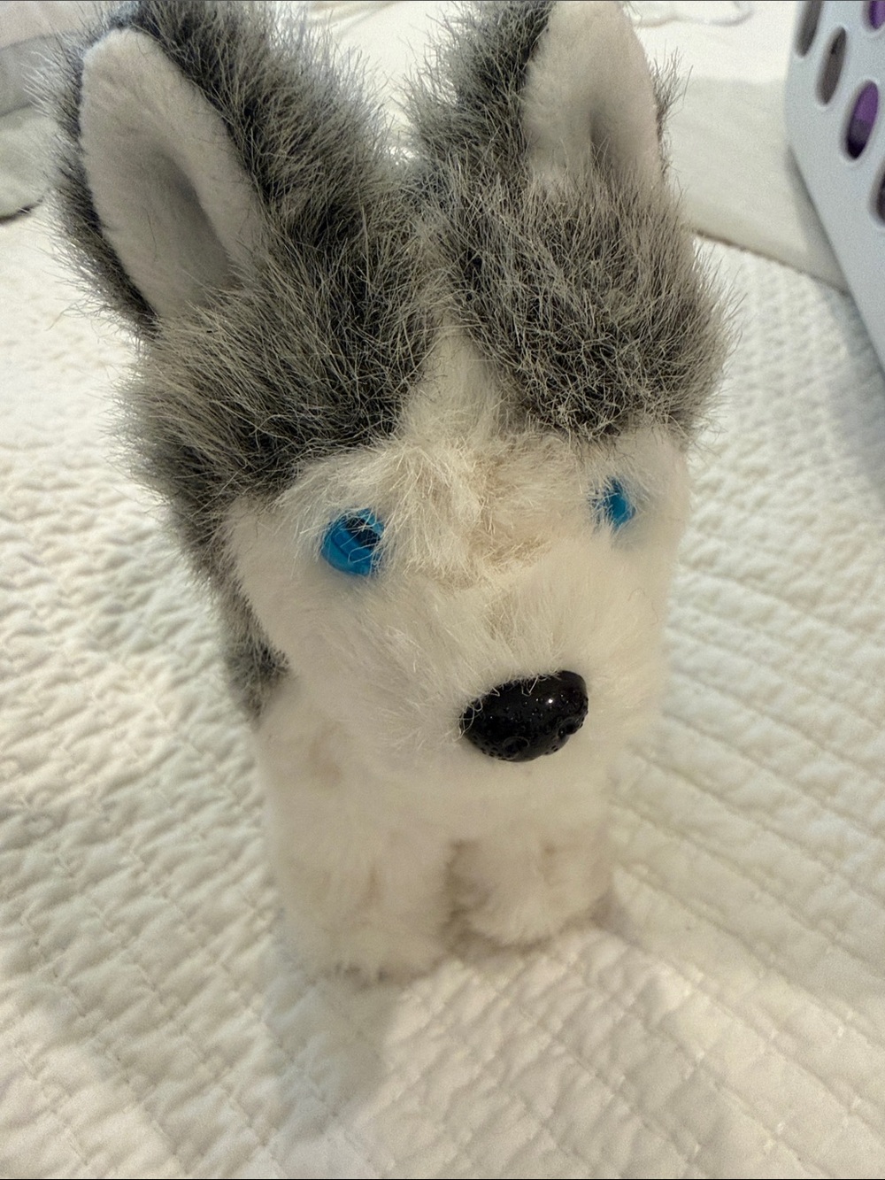 American Girl Plush Husky Dog Toy - White and Gray with Blue Eyes
